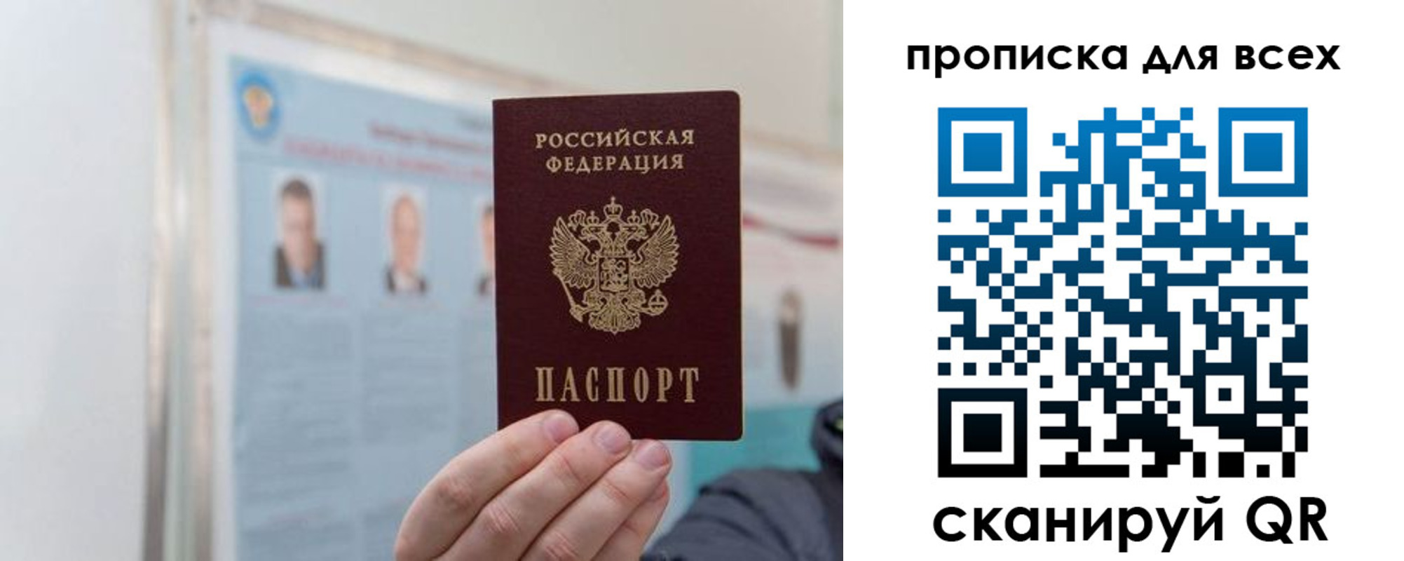 временная регистрация поиск в Курской области
